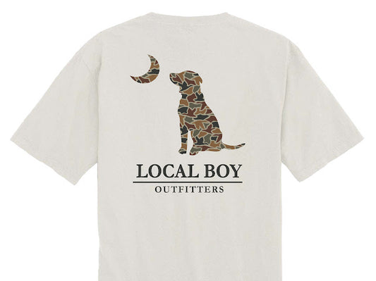 LBO DCDM TEE
